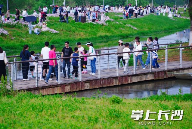 “五一”假期在艳阳陪伴中开启，不少市民朋友已在旅行途中。 均为长沙晚报全媒体记者 舒元臻 摄