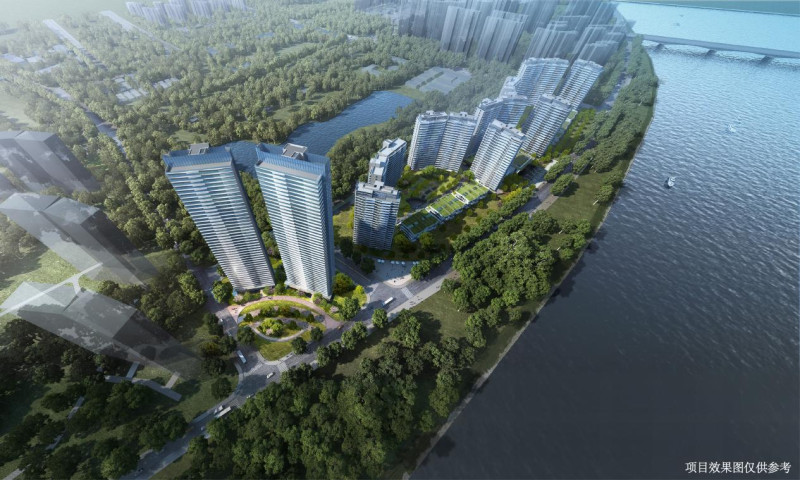 项目效果图示意