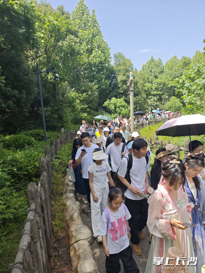 长沙方特两天共接待游客超4万人次。