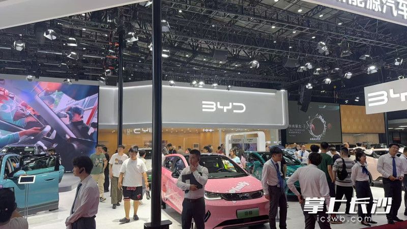 参展的比亚迪品牌区域吸引了众多消费者。 长沙晚报全媒体记者 周游 摄
