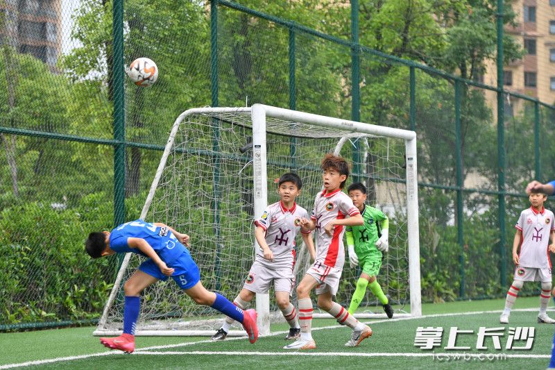 今日上午，长沙市天马德馨园足球俱乐部3:0战胜韩国汉阳足球俱乐部获得冠军。 均为长沙晚报全媒体记者王志伟摄