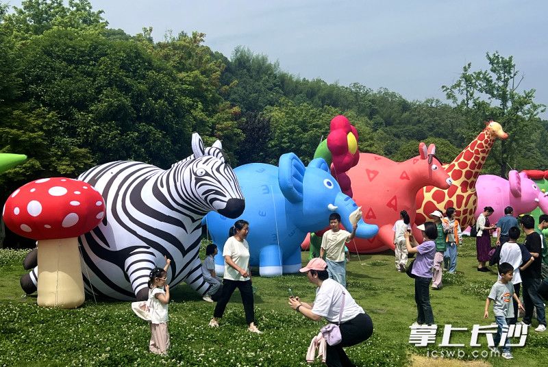 五一期间,长沙生态动物园开展特色游园活动,增强游客游园体验感。 五一期间,长沙生态动物园开展特色游园活动,增强游客游园体验感。