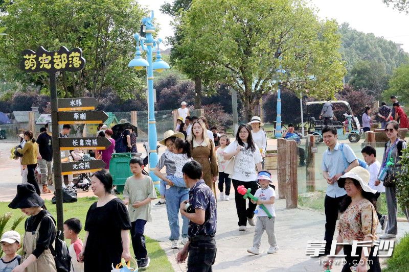 五一假期,长沙园林生态园动趣王国游人如织。 五一假期,长沙园林生态园动趣王国游人如织。