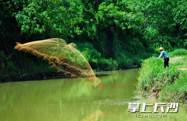7日到8日长沙有较强降雨过程，并伴有雷暴大风等强对流天气。 长沙晚报全媒体记者 舒元臻摄