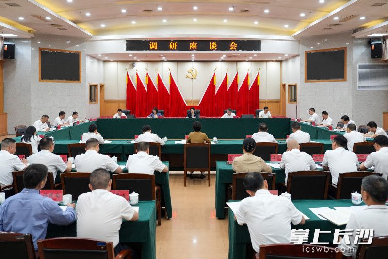 调研座谈会现场。均为长沙晚报全媒体记者 郭雨滴 摄
