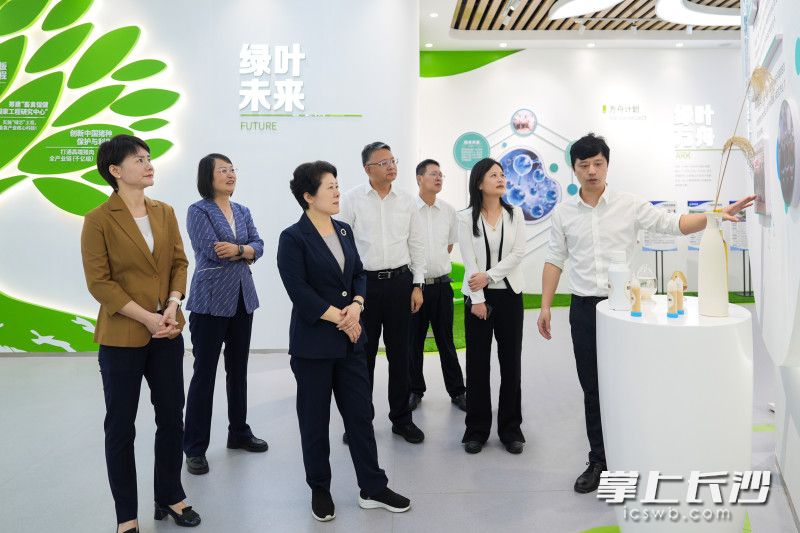 长沙绿叶生物科技有限公司调研现场。