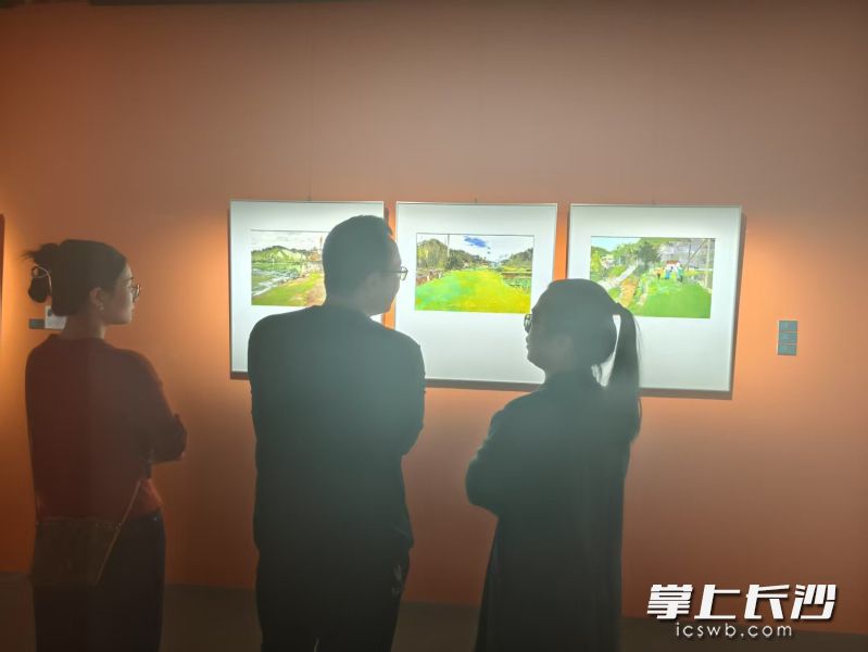 展览现场 均为长沙晚报全媒体记者 宁莎鸥 摄