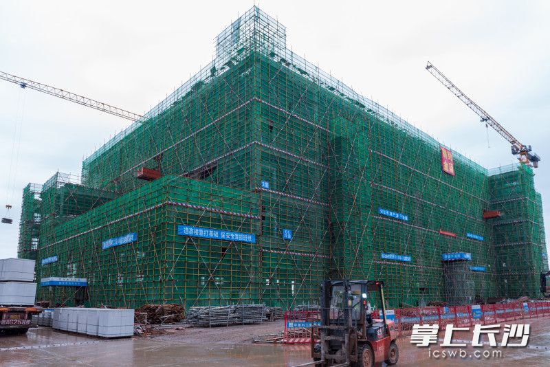 玉湖冷链（长沙）交易中心地块一的D1、D2、D3、D4冷库施工现场图。 均为园区供图