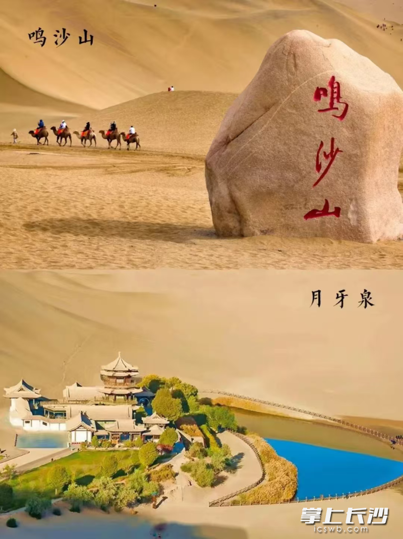 领略大漠与黄河的壮美交融。