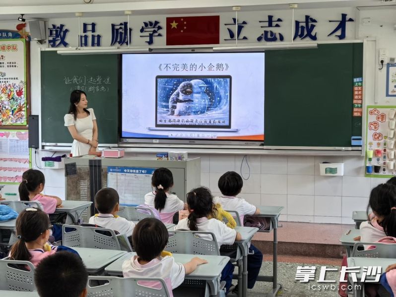 看《不完美的小企鹅》动画短片。