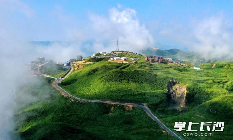 八面山美景。均为主办方供图