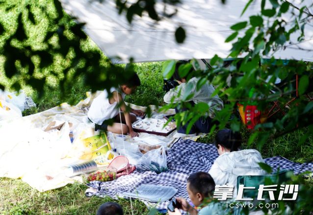 清新明快的初夏时节是进行户外活动的好时机。均为长沙晚报全媒体记者 舒元臻 摄