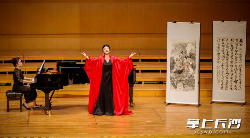 旅欧女高音师乐表演。