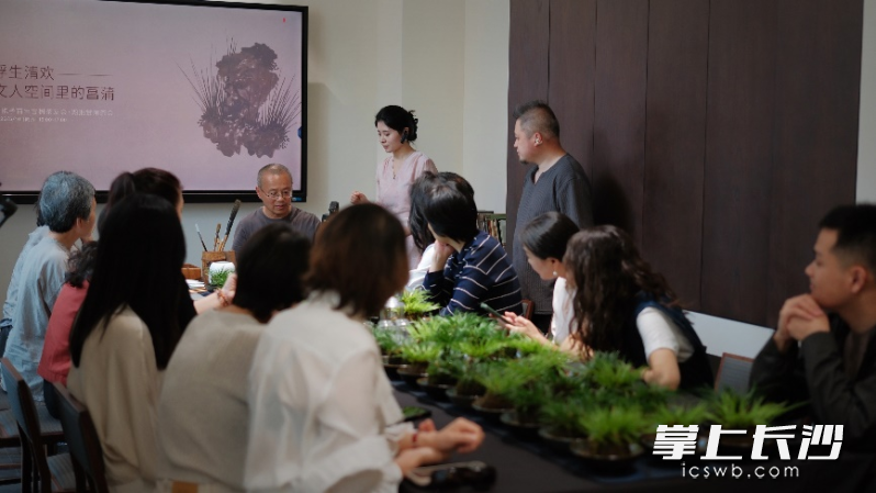 活动现场。  均为长沙晚报通讯员舒文峰供图