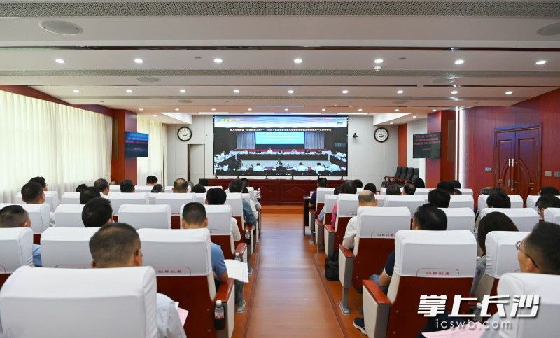 长沙分会场现场。 长沙晚报全媒体记者 黄丽心 摄
