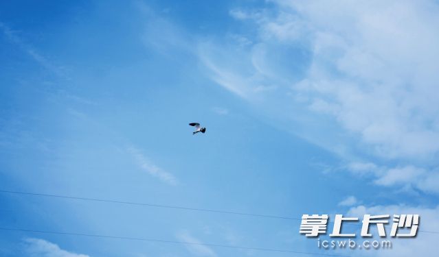 12日到14日白天无明显降水。