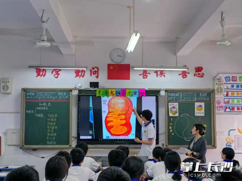 课堂创新实践让“151”模式真正落地为可触摸的教学变革。