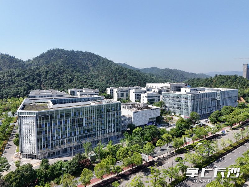新区药品审评核查中心在长沙健康医疗大数据产业园揭牌。 通讯员供图