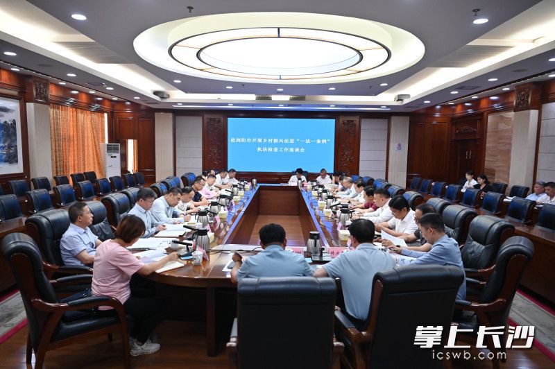 座谈会现场。 长沙晚报通讯员 张圣贺 摄