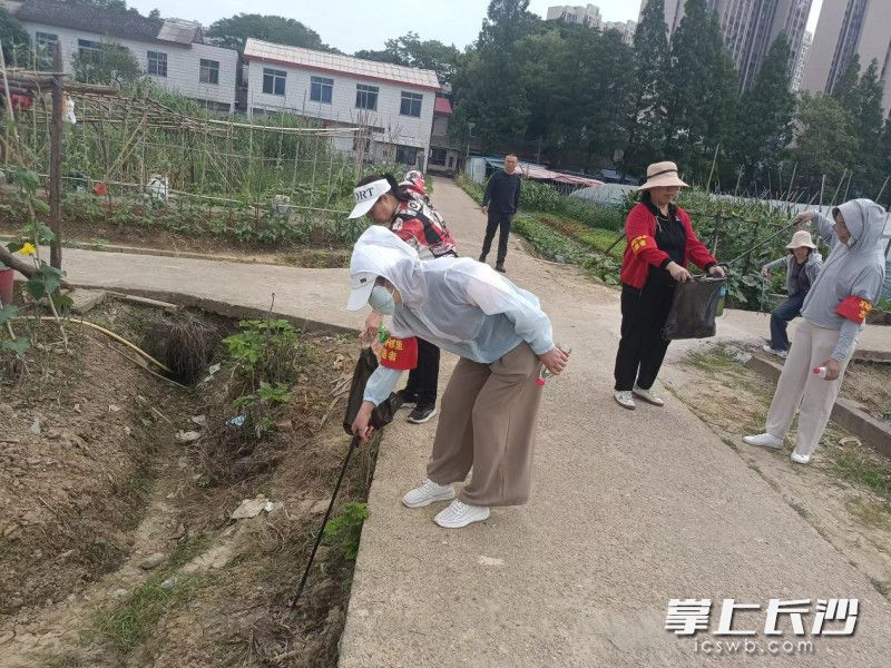 志愿服务。