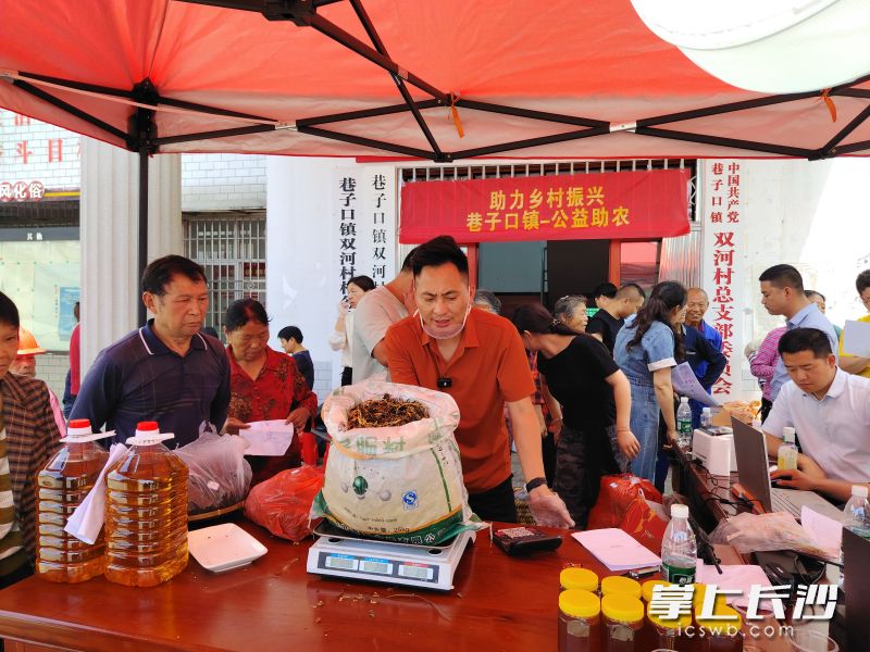 宁乡市巷子口镇引入网红直播带货，为乡村农副产品打开新销路。 长沙晚报全媒体记者 张禹 通讯员 刘佳 摄