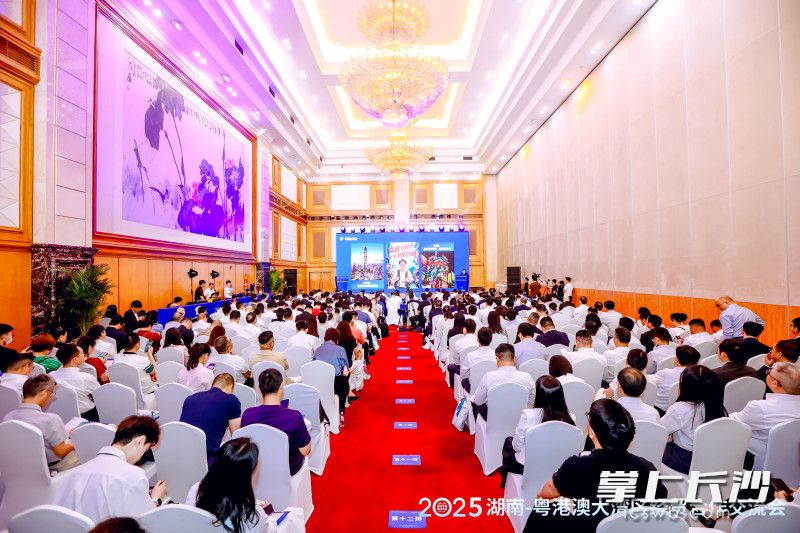 湖南省重点产业链合作交流会在深圳举行。