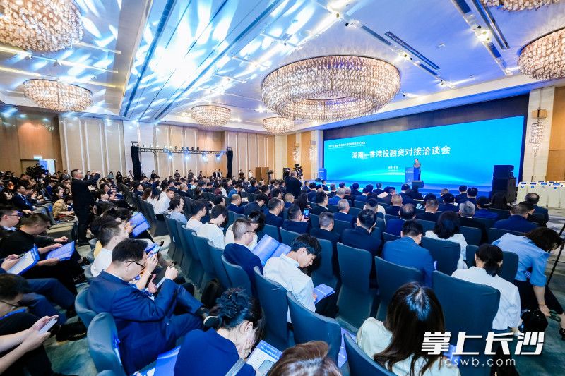 湖南—香港投融资对接洽谈会在香港举行。 均为市商务局供图