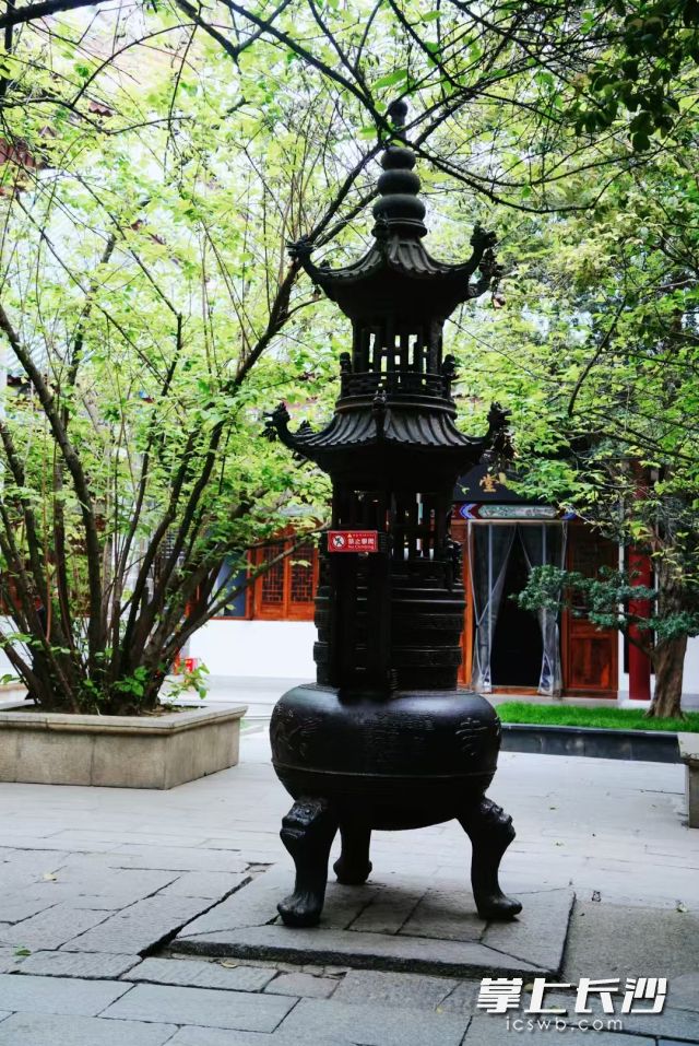 春尽夏至，初夏的美好画面跃然眼前。  长沙晚报全媒体记者 舒元臻 摄