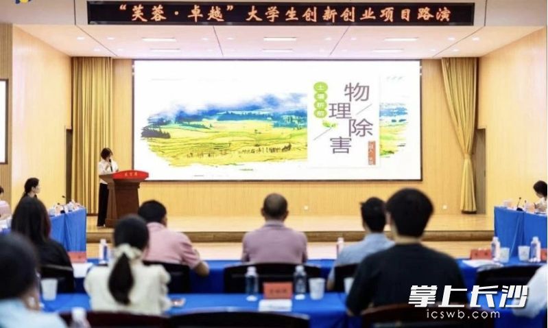 路演现场。