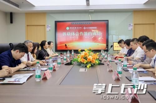 签约现场。