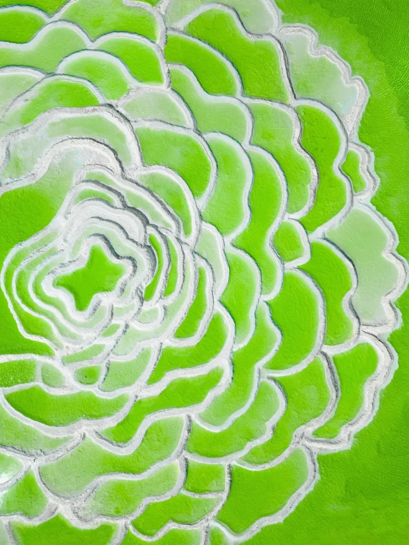 盐湖与雪山倒映着流云,构成青甘环线上最梦幻的“天空之镜”。 盐湖与雪山倒映着流云,构成青甘环线上最梦幻的“天空之镜”。