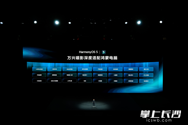 发布会现场。受访者 供图 发布会现场。受访者 供图