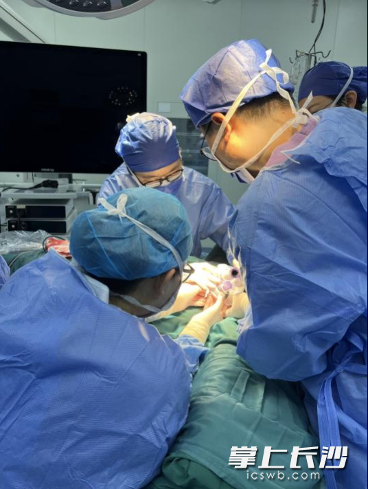 甲状腺外科专家在为患者进行手术治疗。 甲状腺外科专家在为患者进行手术治疗。