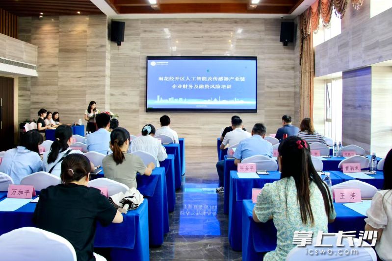 雨花经开区人工智能及传感器产业链“财务合规与融资策略”培训现场。 长沙晚报通讯员 刘佳妮 摄