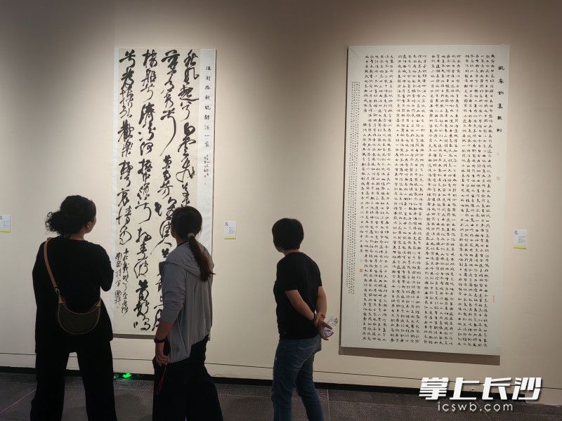 观众浏览书法作品。