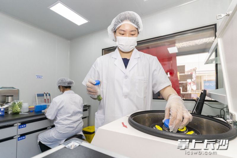 食品安全员正在进行检测。均为长沙晚报全媒体记者 周数邑 摄