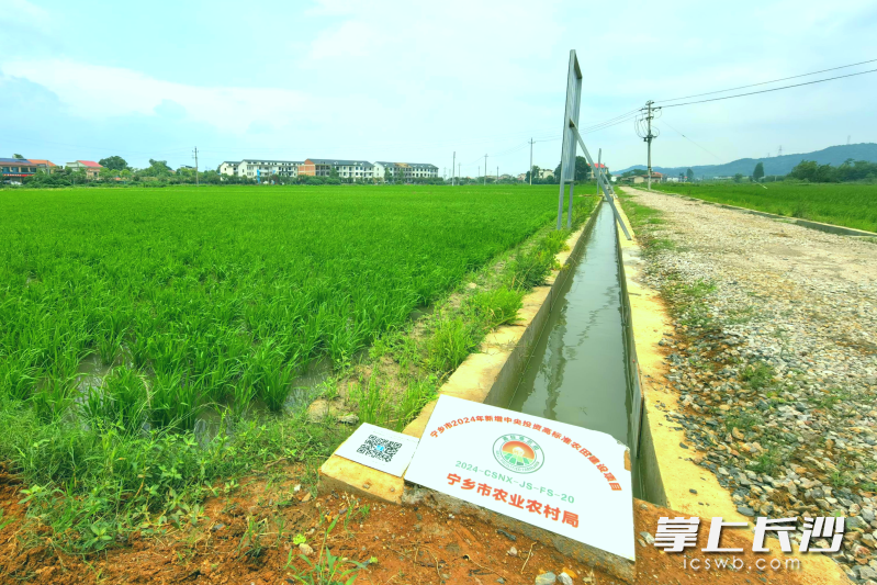 在回龙铺镇丰收村的高标准农田示范区，每一项工程都配备了独特的“二维码身份证”，手机一扫就可知详情。长沙晚报全媒体记者 张禹 摄