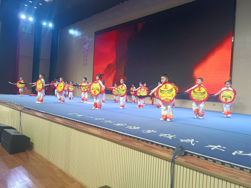 孩子们带来了精彩的武术展示。