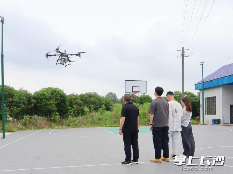 操作无人机巡林。