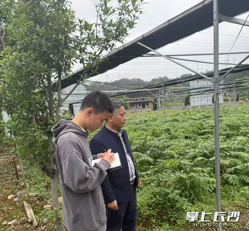 交流种植技术，