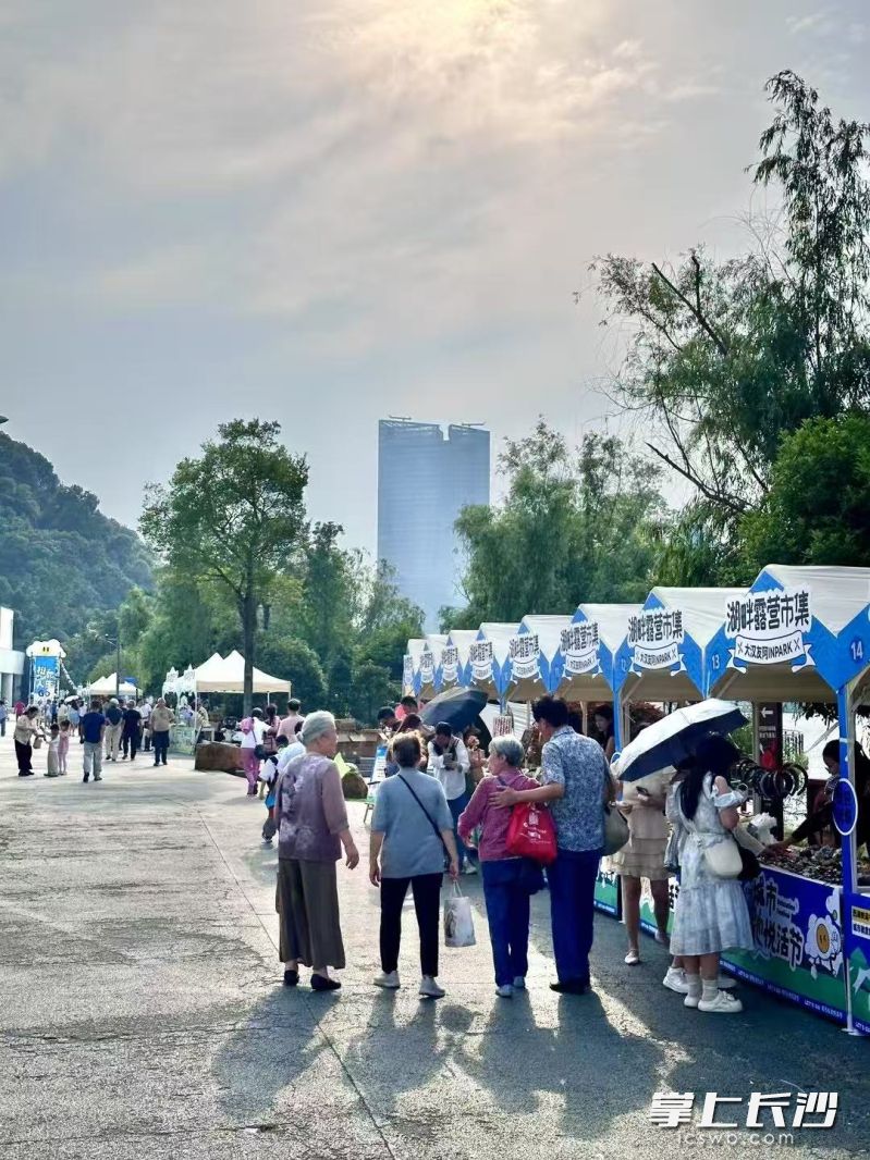 端午市集吸引市民驻足。