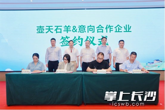签约仪式现场。 均为通讯员供图