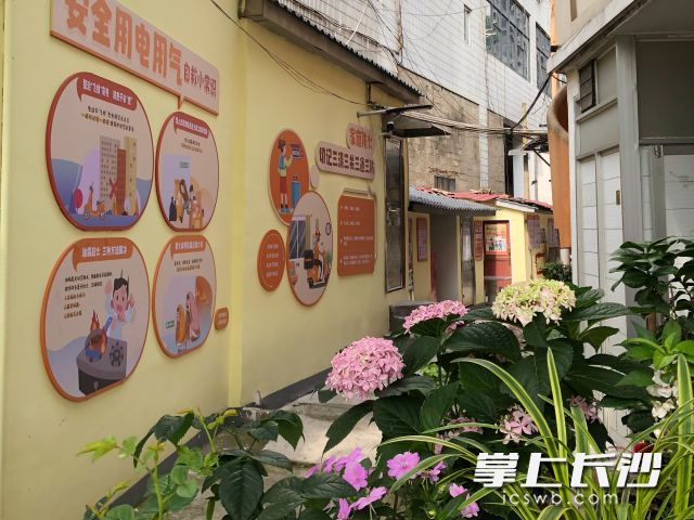东西江家巷提质改造后蝶变转身。 长沙晚报全媒体记者 舒元臻 摄
