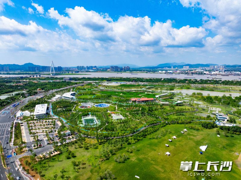 望城区大泽湖近自然湿地公园。 长沙晚报全媒体记者 邹麟 摄 望城区大泽湖近自然湿地公园。 长沙晚报全媒体记者 邹麟 摄