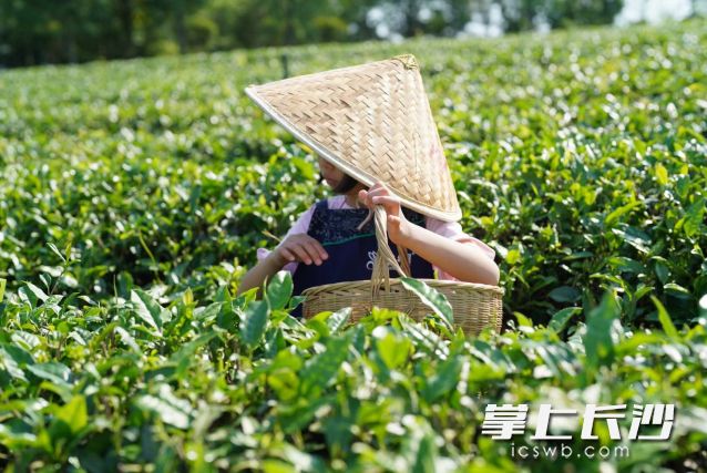 出行应尽量避开强降雨时段。 全媒体记者 舒元臻摄