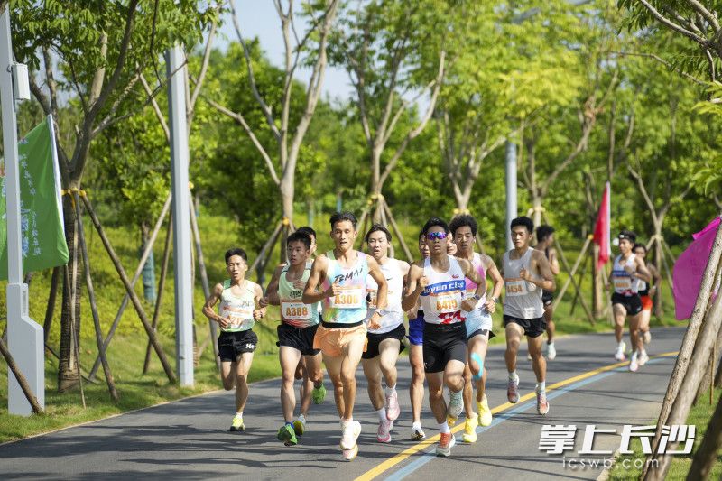 今日上午，“Ai 在大泽湖”·端午嘉年华——全民欢乐跑在大泽湖近自然湿地公园热力开跑，来自全国各地的 1000名跑友奔跑在全新开放的“城市绿肺”。 均为长沙晚报全媒体记者 王志伟 黄启晴 摄影报道