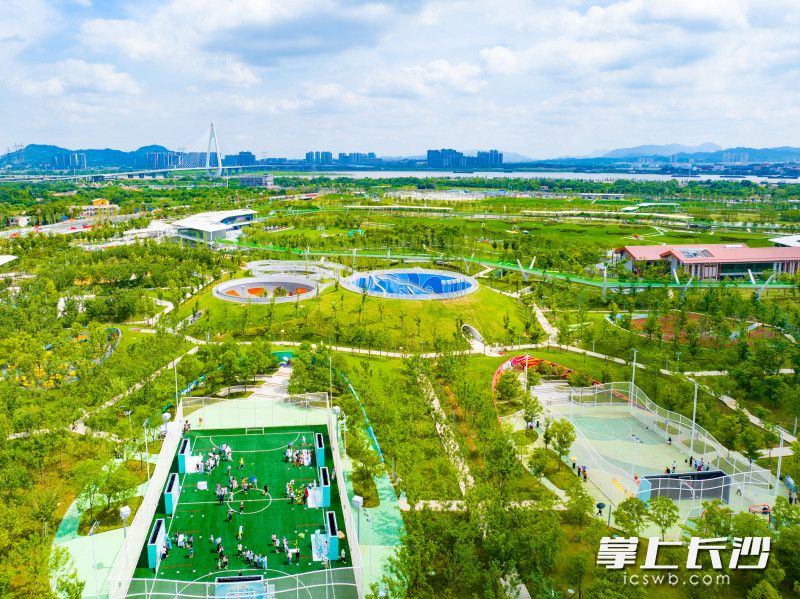 5月30日，大泽湖近自然湿地公园正式开园。均为长沙晚全媒体记者 邹麟 摄