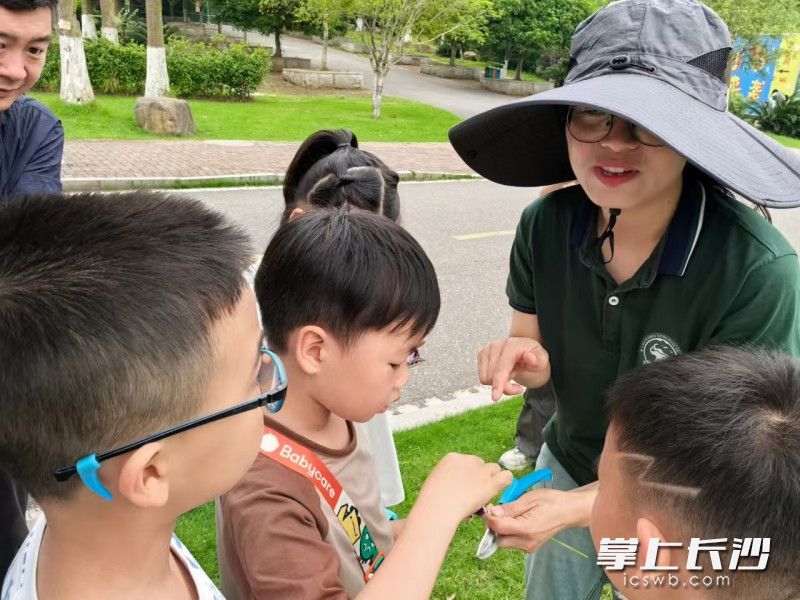 老师在讲解。