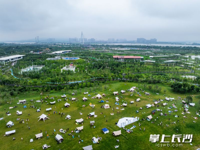 大泽湖近自然湿地公园。