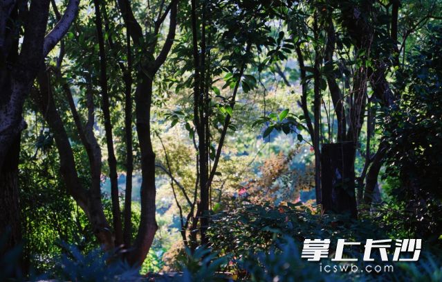 返程关注天气预报，合理安排出行时间。